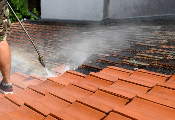 Best Pressure Washing Near Me  in Shoreview, MN