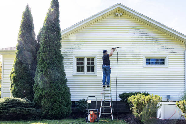 Best Concrete Pressure Washing  in Shoreview, MN