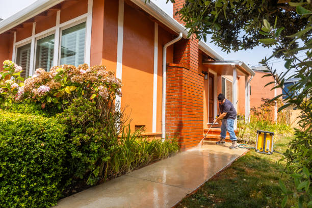 Best Affordable Power Washing  in Shoreview, MN