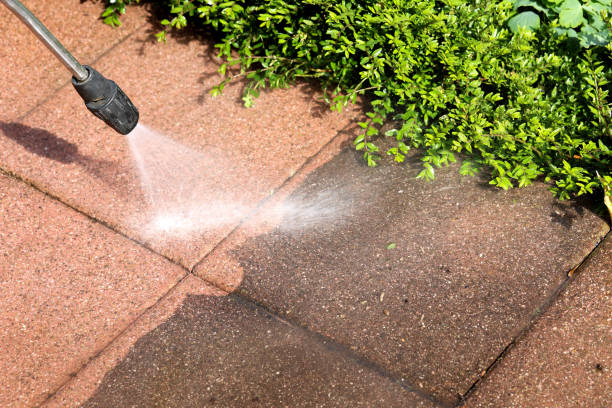 Best Local Pressure Washing Services  in Shoreview, MN